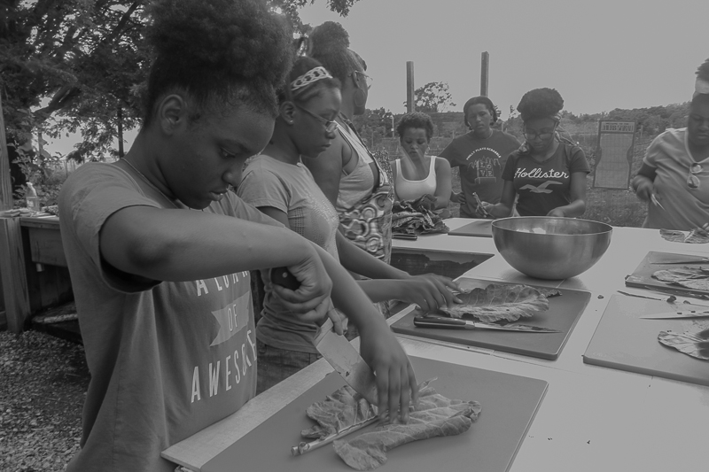 Learning knife skills by de-ribbing collards at Our Mothers' Kitchens Camp, 2017. Photo: Gabrielle Clark.