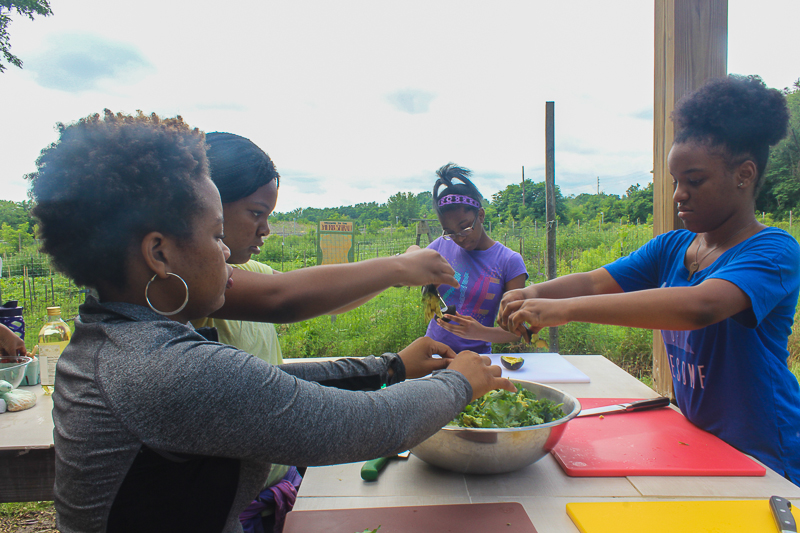 Prepping a farm fresh kale salad, Our Mothers' Kitchens Camp, 2017. Photo: Gabrielle Clark.