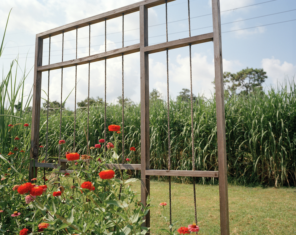 Solitary Gardens in New Orleans' Lower Ninth Ward, Photo: Olivia Hunter