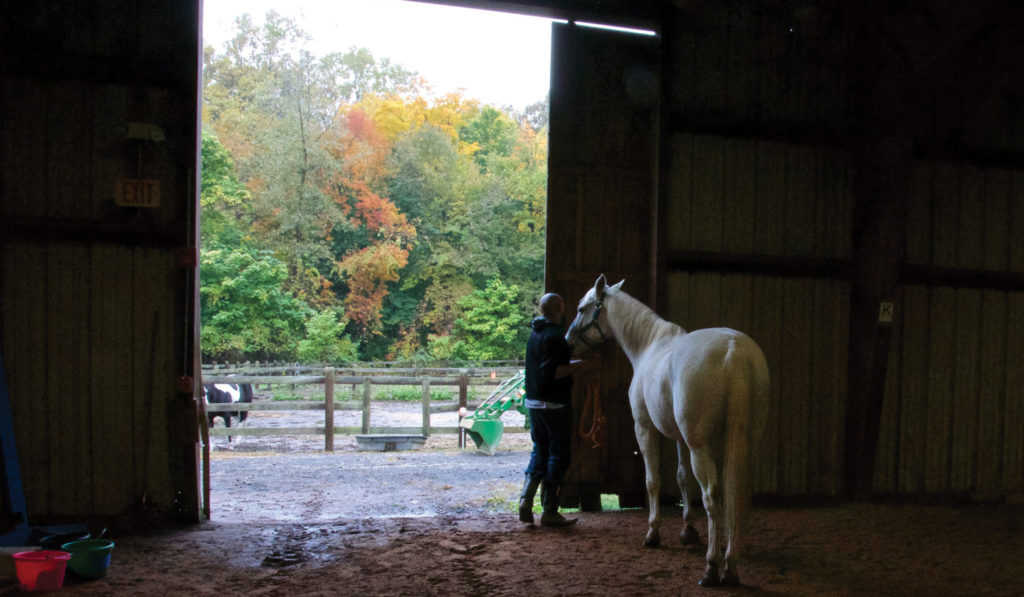 Ebony Horsewomen, Inc. Equestrian Center, Hartford, CT. Photo by Melanie Crean.